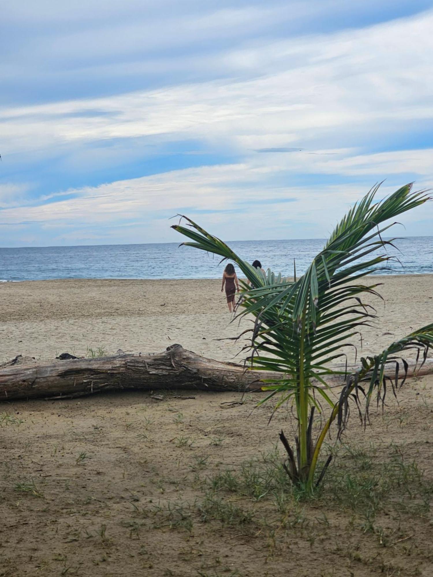 Turtle Beach Villas Zihuatanejo Eksteriør billede